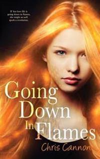 Going Down in Flames (a Going Down in Flames Novel)
