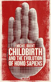 Childbirth and the Evolution of Homo Sapiens