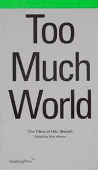 Too Much World: The Films of Hito Steyerl