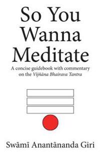So You Wanna Meditate: A Concise Guidebook with Commentary on the Vijnana Bhairava Tantra