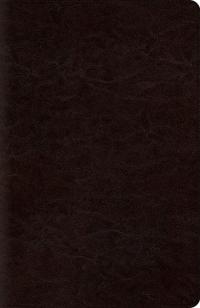 New Classic Reference Bible-ESV