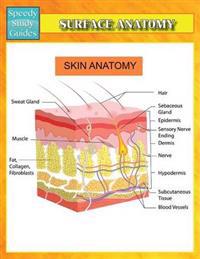 Surface Anatomy (Speedy Study Guides)