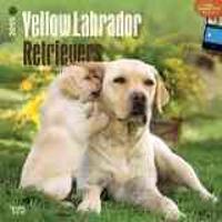 Yellow Labrador Retrievers 18-Month 2015 Calendar