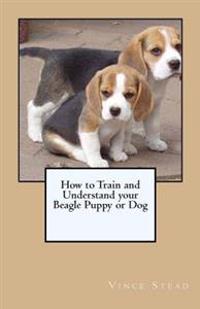 How to Train and Understand Your Beagle Puppy or Dog