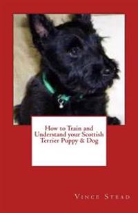 How to Train and Understand Your Scottish Terrier Puppy & Dog
