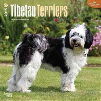 Tibetan Terriers 2015 Wall