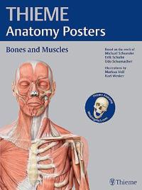 Thieme Anatomy Poster, Latin Nomenclature