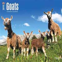 Goats 2015 Wall