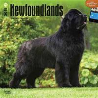 Newfoundlands 2015 Wall