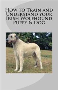 How to Train and Understand Your Irish Wolfhound Puppy & Dog