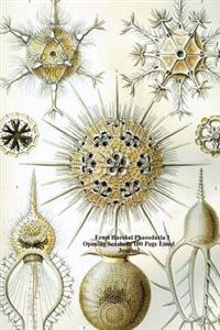 Ernst Haeckel Phaeodaria 1 Opening Seashells 100 Page Lined Journal: Blank 100 Page Lined Journal for Your Thoughts, Ideas, and Inspiration