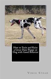 How to Train and Raise a Great Dane Puppy or Dog with Good Behavior