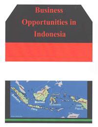 Business Opportunities in Indonesia