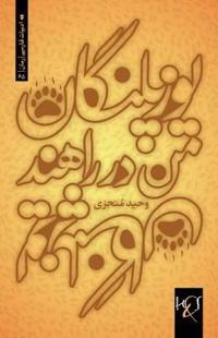 My Cheetahs are on the Way