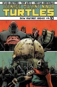 Teenage Mutant Ninja Turtles 10