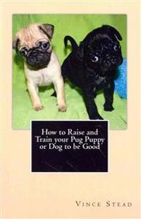 How to Raise and Train Your Pug Puppy or Dog to Be Good