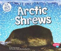 Arctic Shrews