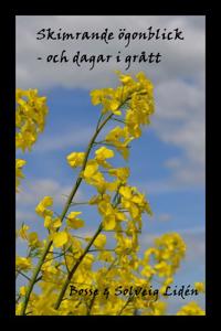 Skimrande ögonblick - och dagar i grått