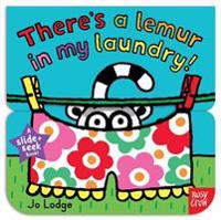 Slide and Seek: There's a Lemur in My Laundry