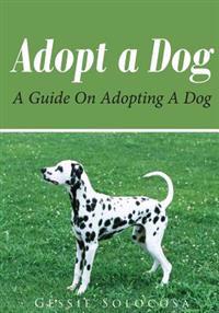 Adopt a Dog: A Guide on Adopting a Dog