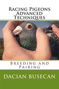 Racing Pigeons Advanced Techniques: Breeding and Pairing
