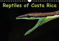 Reptiles of Costa Rica / UK-Version