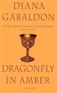 Dragonfly in Amber