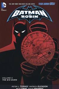Batman and Robin 5