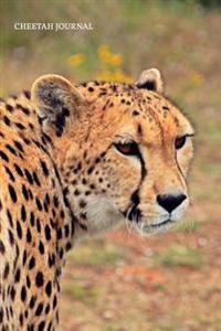 Cheetah Journal: 100 Page Lined Notebook/Diary