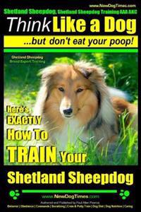 Shetland Sheepdog, Shetland Sheepdog Training AAA Akc: Think Like a Dog, But Don't Eat Your Poop! Shetland Sheepdog Breed Expert Training: Here's Exac