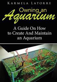 Owning an Aquarium: A Guide on How to Create and Maintain an Aquarium