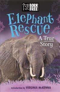 Born Free Elephant Rescue
