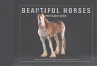 Beautiful Horses Postcard Book