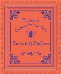 Ponsonby's: Insects & Spiders