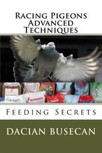 Racing Pigeons Advanced Techniques: Feeding Secrets