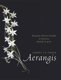 Aerangis
