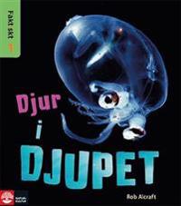 Faktiskt nivå 1, 5 titlar