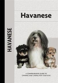 Havanese