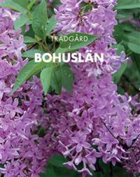 Trädgård i Bohuslän