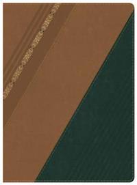 Biblia de Estudio Holman-Rvr 1960