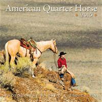 American Quarter Horse 2015 Calendar
