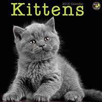 Kittens 2015 Calendar