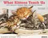What Kittens Teach Us 18-Month 2015 Calendar
