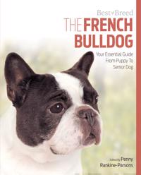 The French Bulldog