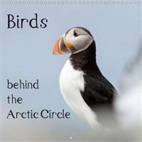 Birds Behind the Arctic Circle