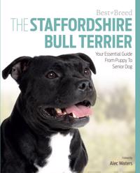 The Staffordshire Bull Terrier