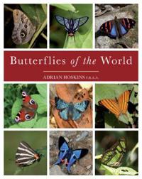 Butterflies of the World
