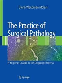 The Practice of Surgical Pathology : A Beginner's Guide to the Diagnostic Process