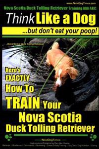 Nova Scotia Duck Tolling Retriever Training AAA Akc: Think Like a Dog But Don't Eat Your Poop! - Nova Scotia Duck Tolling Retriever Breed Expert Train