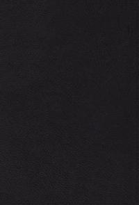 Reader's Gospels-ESV